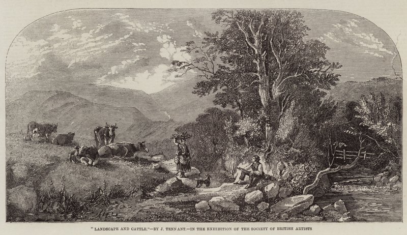 Landschap en vee door John F. Tennant