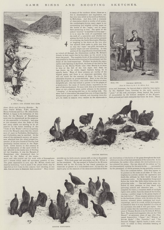 Wildvogels en jachtschetsen door John Guille Millais