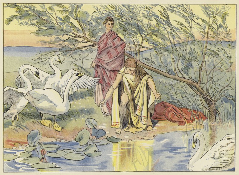 Narcissus door John Shenton Eland