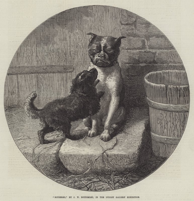 Geërgerd door John William Bottomley