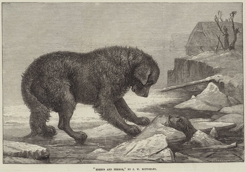 Erebus en Terror door John William Bottomley