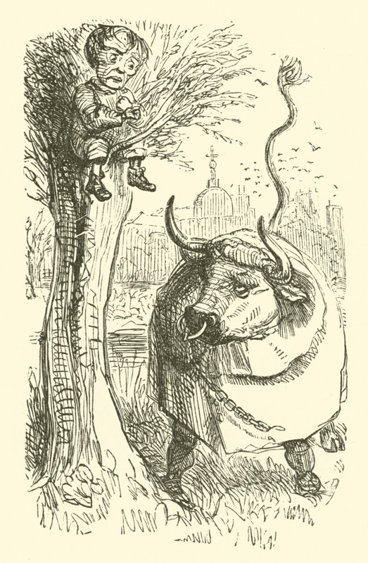 Stier en jongen (gravure) door John (after) Leech