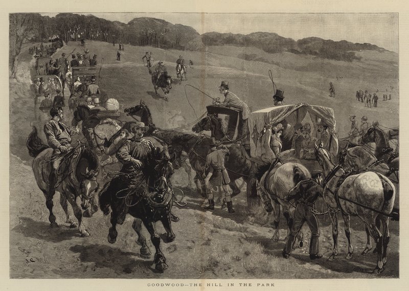 Goodwood, de heuvel in het park door John Charlton