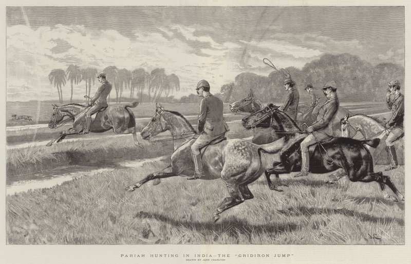 Pariah Jacht in India, de Gridiron Sprong door John Charlton