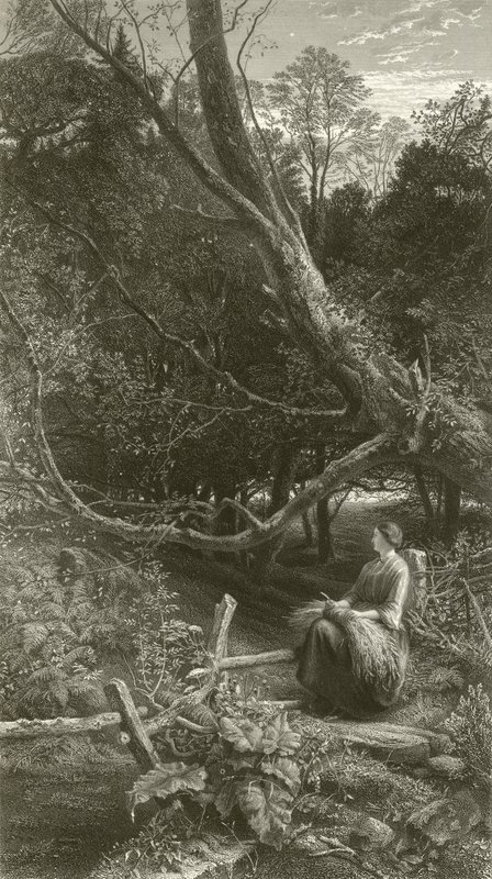 Schemering in het bos door John Samuel Raven