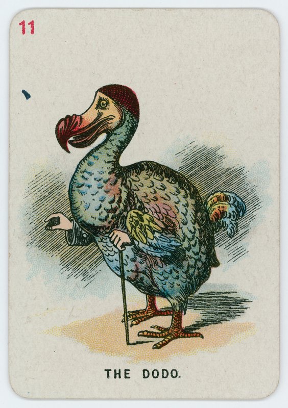 De Dodo door John Tenniel