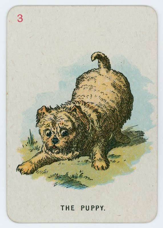 De puppy door John Tenniel
