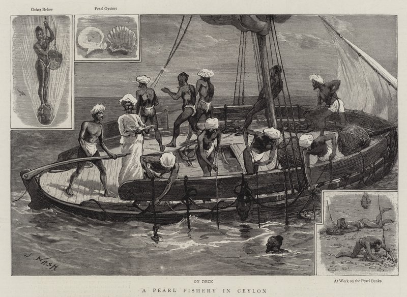 Een parelvisserij in Ceylon door Joseph Nash