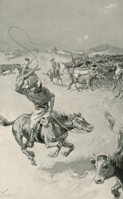 Veedrijven in Queensland door Joseph Finnemore