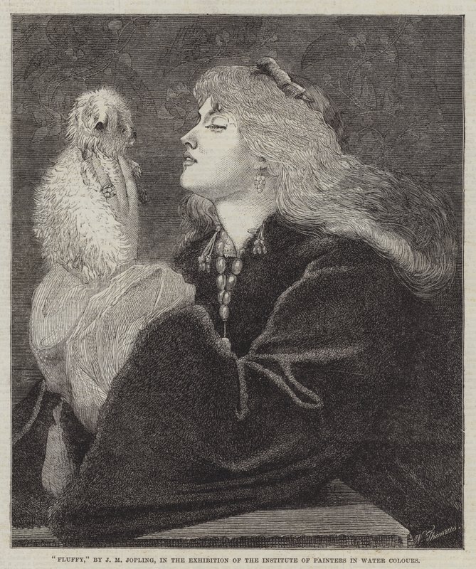 Pluizig door Joseph Middleton Jopling