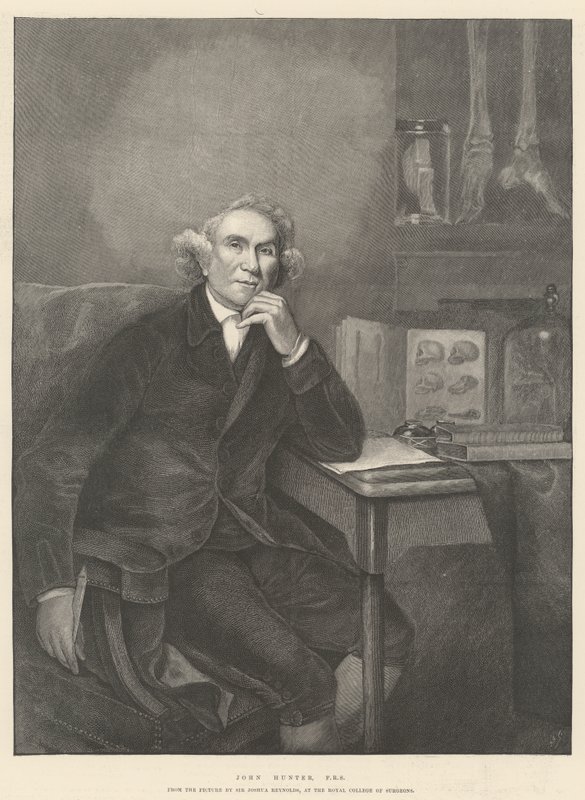 John Hunter, FRS door Joshua Reynolds
