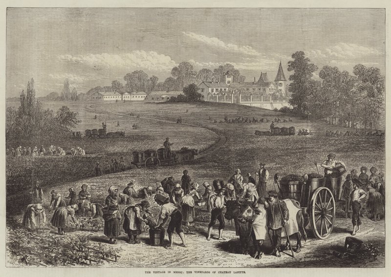 De wijnoogst in Medoc, de wijngaarden van Chateau Lafitte door Jules Pelcoq