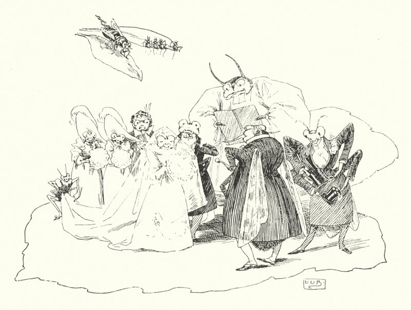 Fiddle-de-dee, fiddle-de-dee (gravure) door Leonard Leslie Brooke