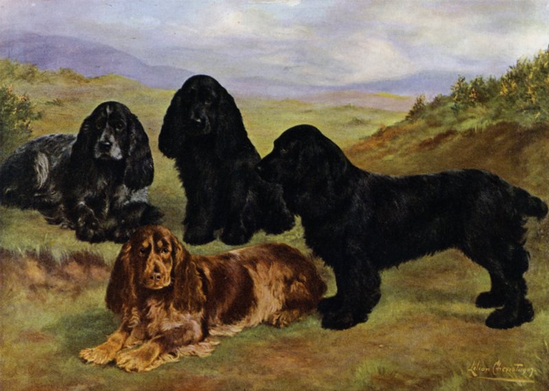 Cocker Spaniels door Lilian Cheviot
