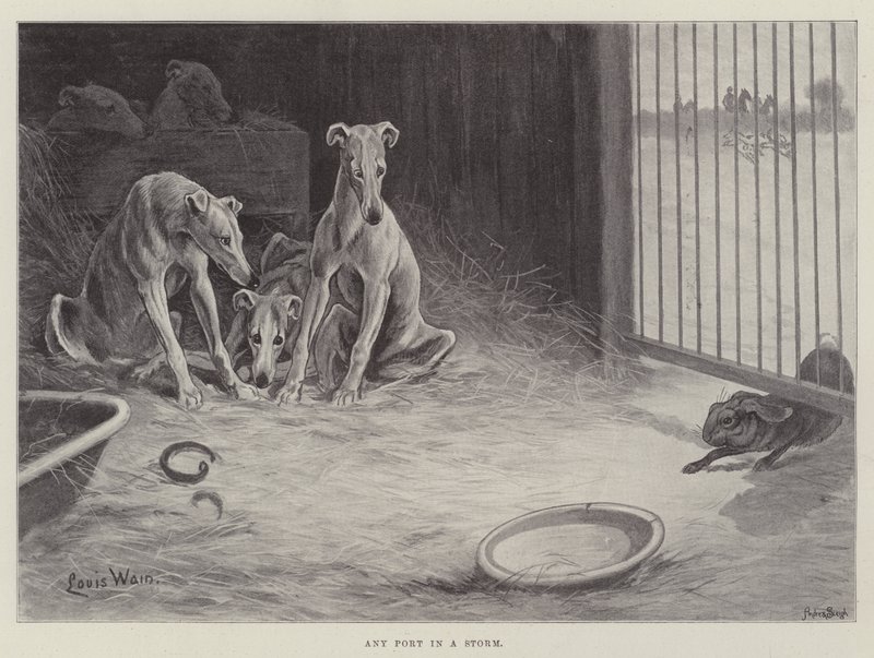 Elke haven in een storm door Louis Wain