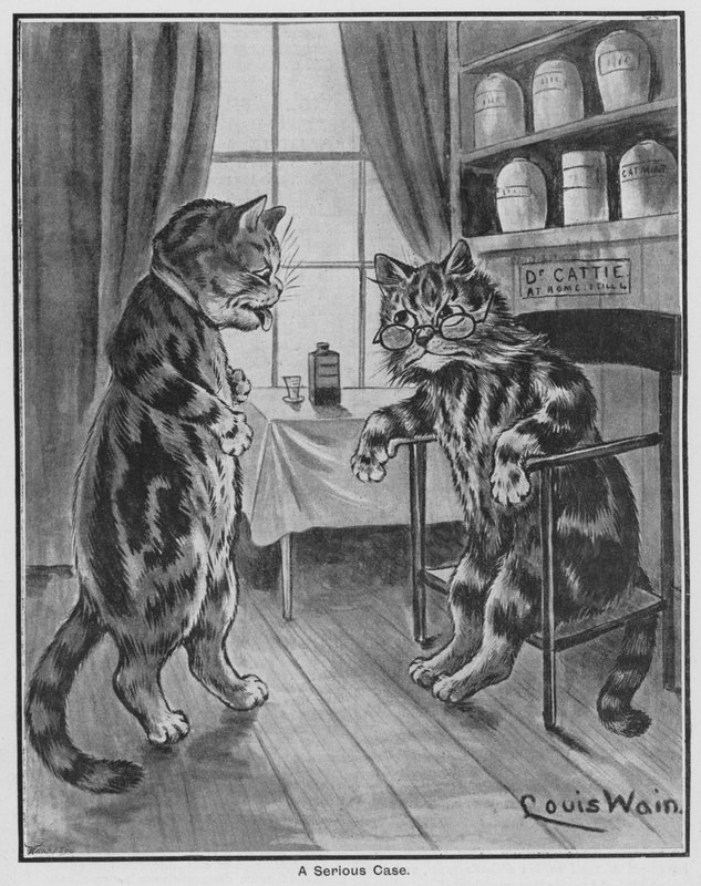 Een ernstige zaak door Louis Wain