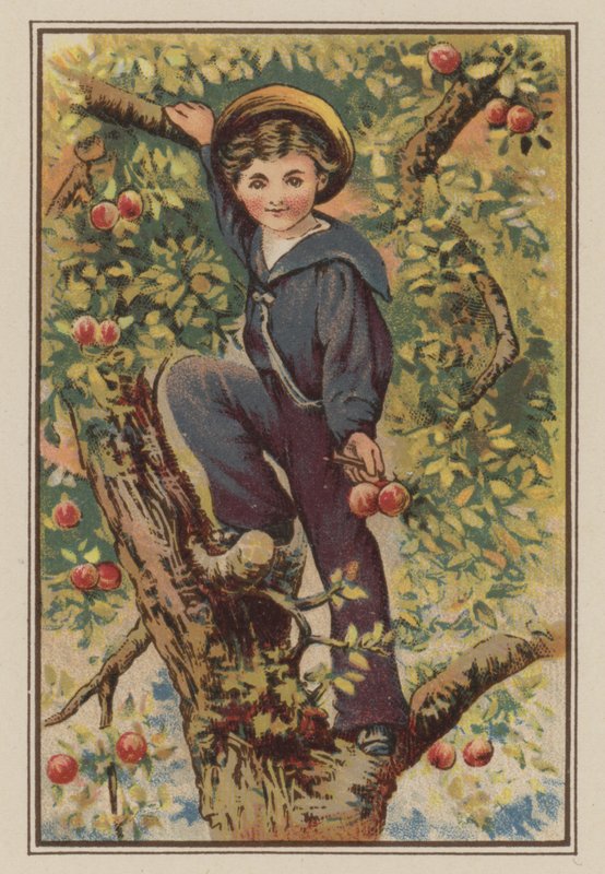 Jongen klimt in appelboom door Mary Ellen Edwards