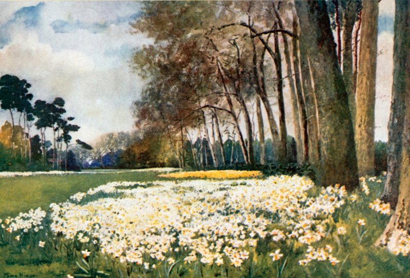 Het Park, Sandringham door Mima Nixon