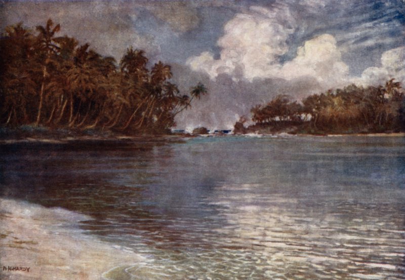 Bij Rif en Palm door Norman Hardy