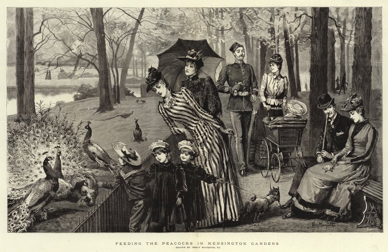 De Pauwen Voeren in Kensington Tuinen door Percy Macquoid