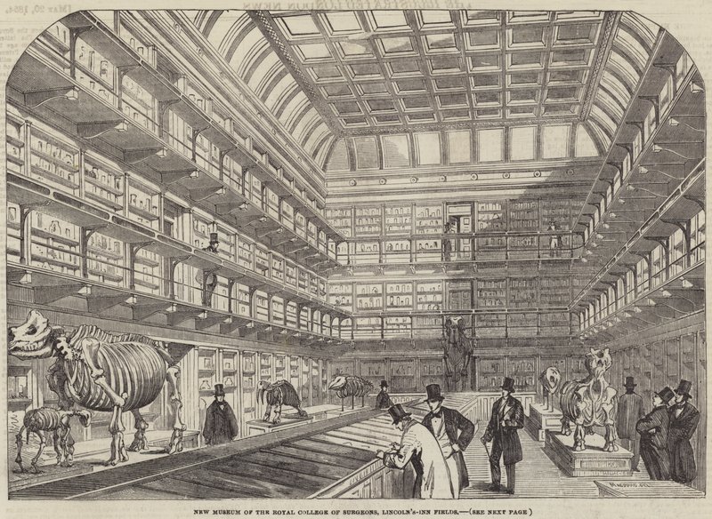Nieuw museum van het Royal College of Surgeons, Lincoln
