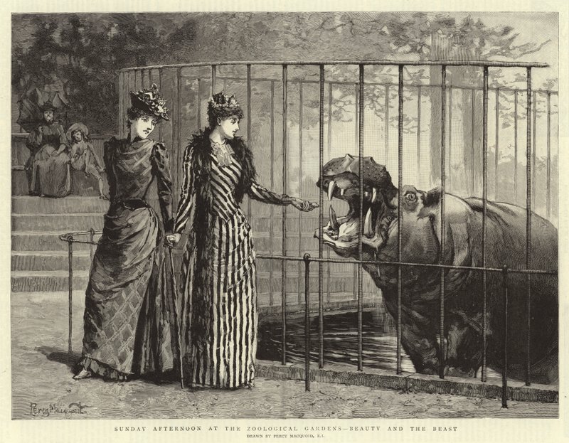 Zondagmiddag in de dierentuin, Schoonheid en het Beest door Percy Macquoid