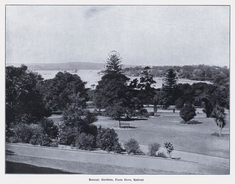 Botanische tuinen, Farm Cove, Sydney door Photographer Australian
