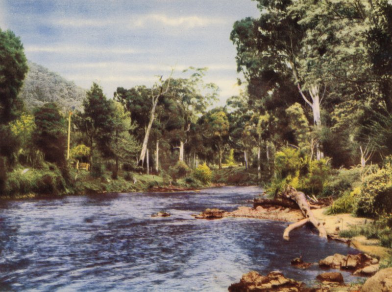 Yarra Rivier door Photographer Australian