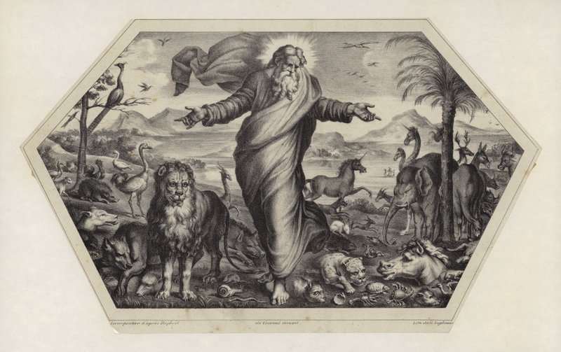 De Schepping van de Dieren door Raffaello Sanzio Raphael