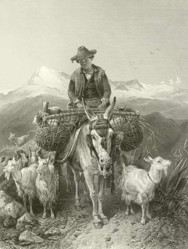 De Geitenhoeder van Granada door Richard Ansdell