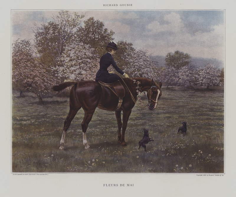 Meibloemen door Richard Doyle