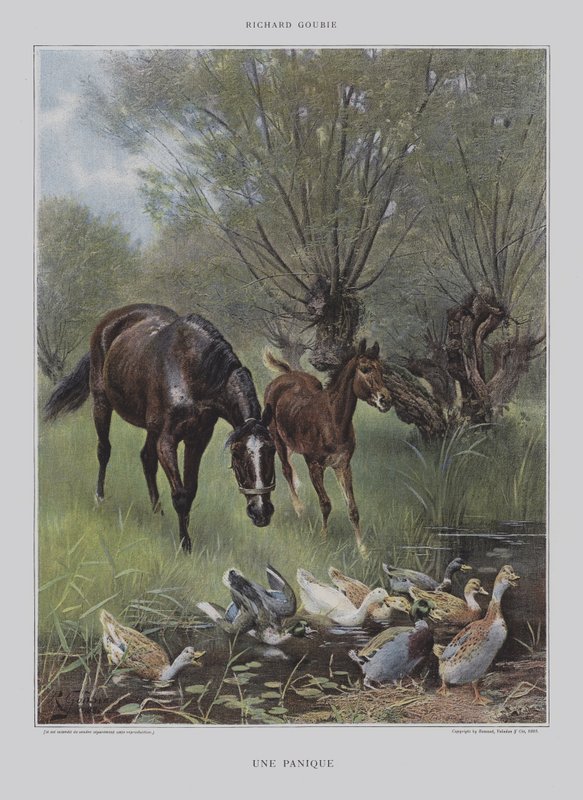 Een paniek door Richard Doyle
