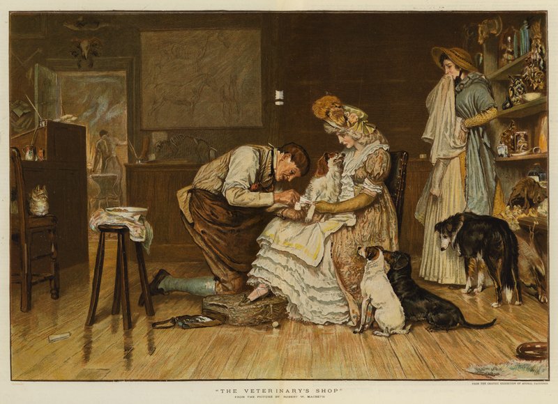 De dierenartswinkel door Robert Walker Macbeth