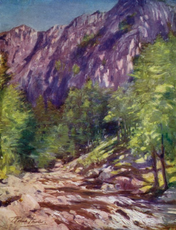 Aberglaslyn (kleur litho) door Robert (after) Fowler