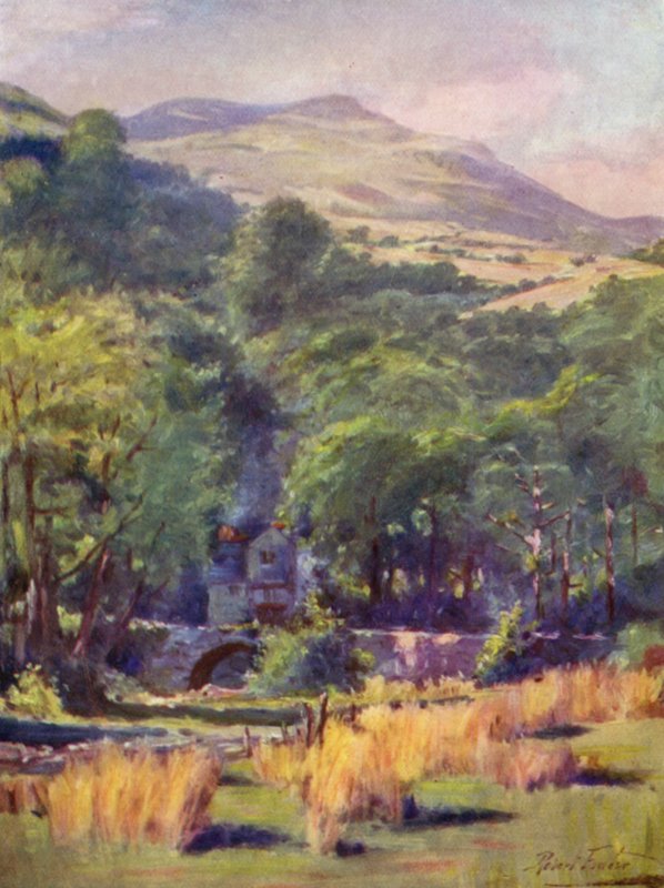 Duffws Berg (kleur litho) door Robert (after) Fowler