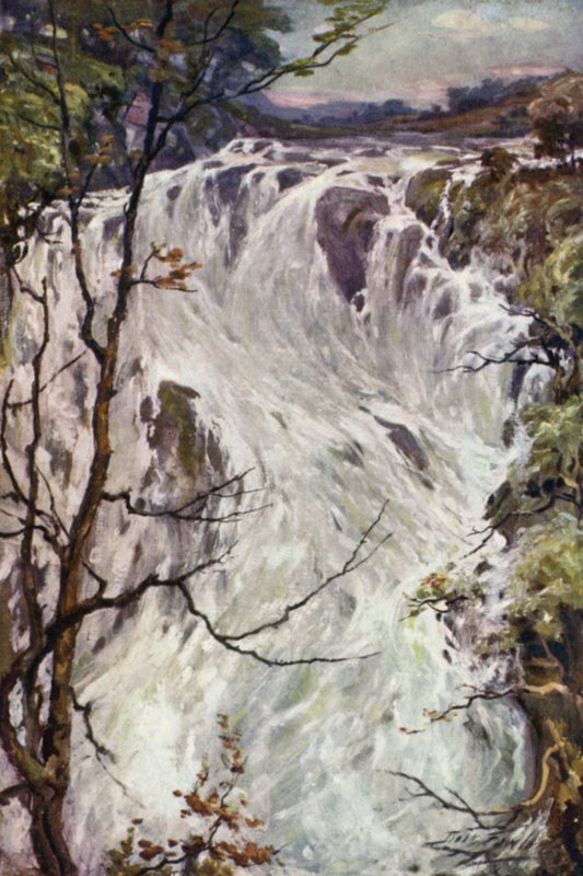 Swallow Falls, Bettws-y-Coed (kleur litho) door Robert (after) Fowler