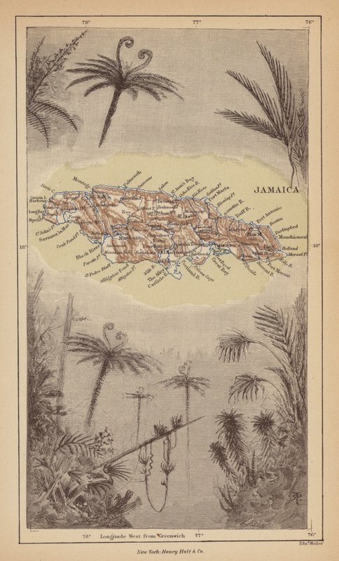 Jamaica door Robert Pritchett