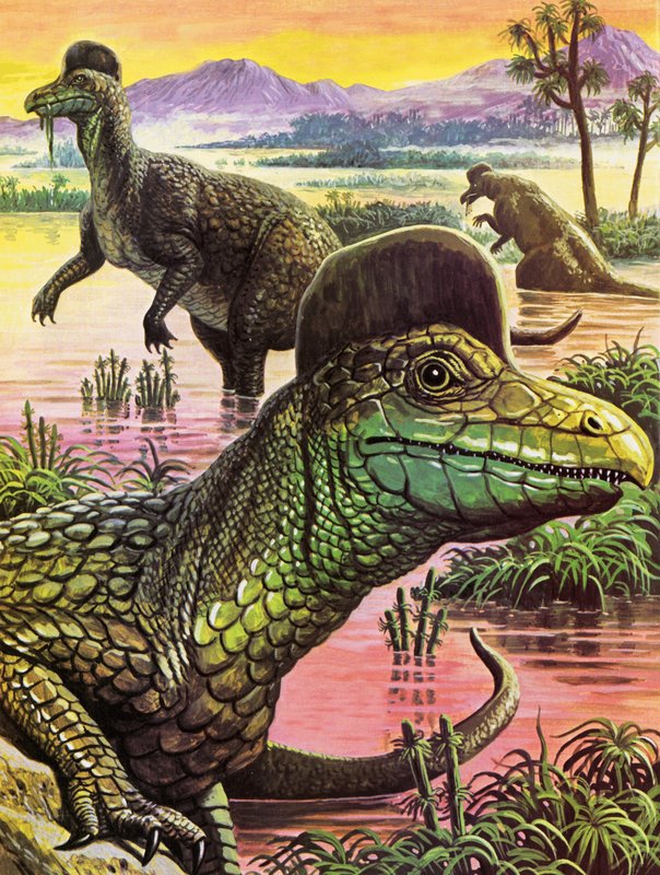 Corythosaurus door Roger Payne