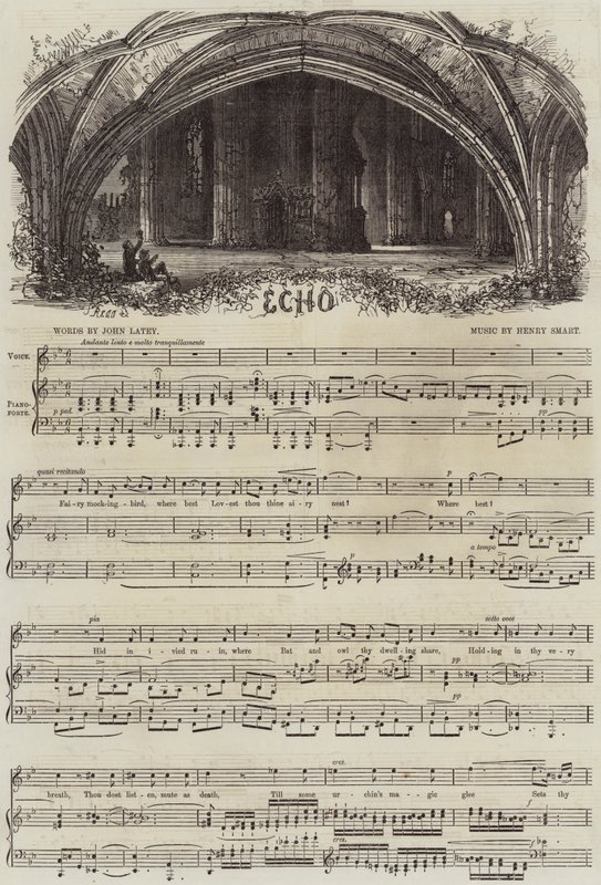 Echo door Samuel Read