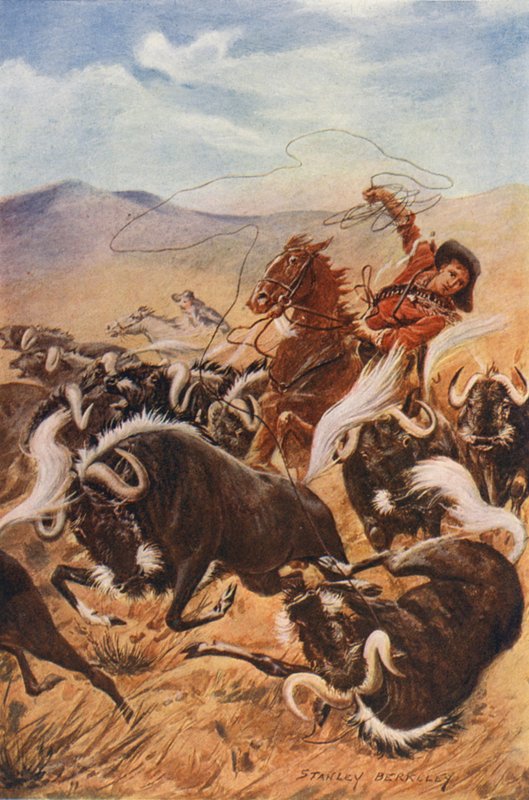 Cowboy die muskusossen vangt met een lasso door Stanley (after) Berkeley