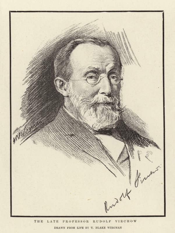 De overleden professor Rudolf Virchow door Theodore Blake Wirgman