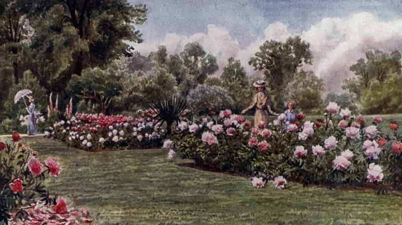 Kew Gardens: De pioenen door Thomas Mower Martin