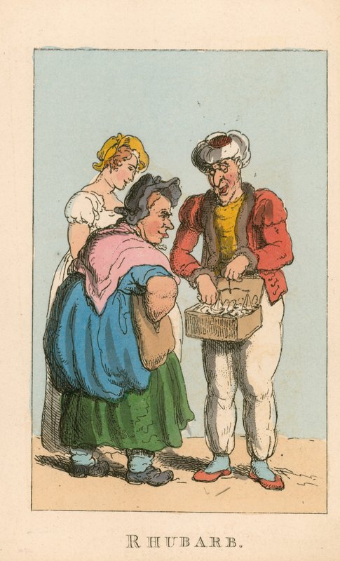Rabarber door Thomas Rowlandson