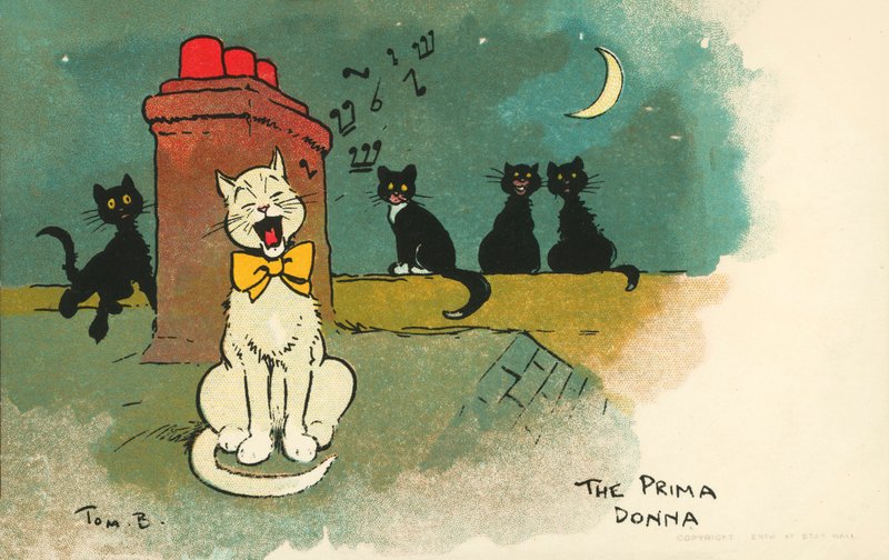 Prima donna door Tom Browne