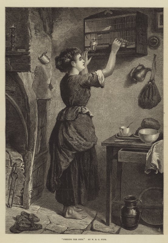 De huisdieren voeren door W. Fyfe