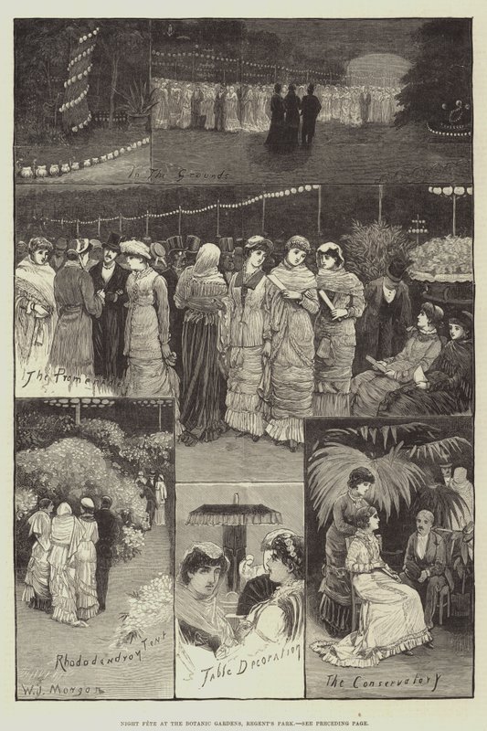 Nachtfeest in de Botanische Tuinen, Regent