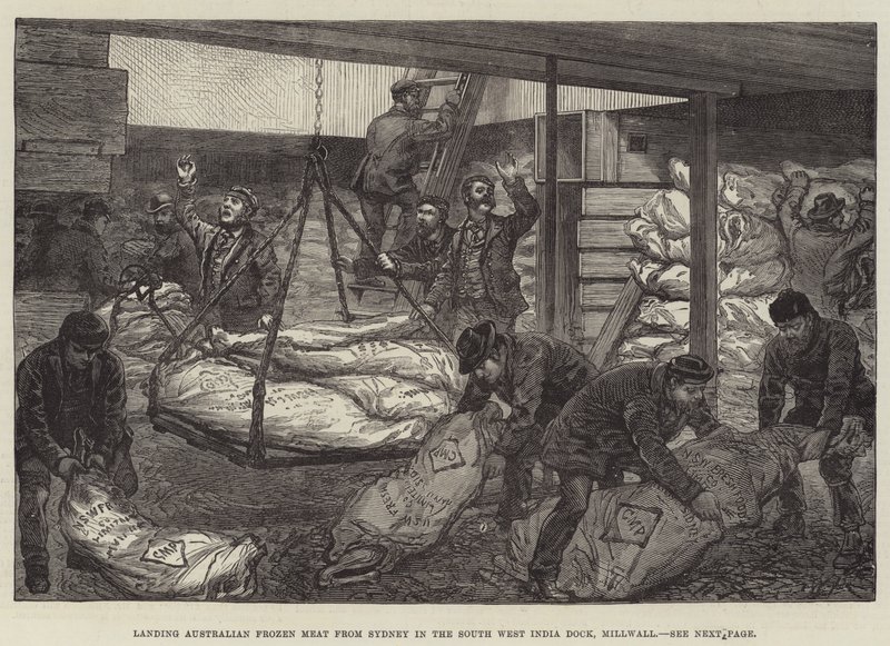 Lossen van Australisch Bevroren Vlees uit Sydney in de Zuidwest-Indische Dok, Millwall door Walter Paget
