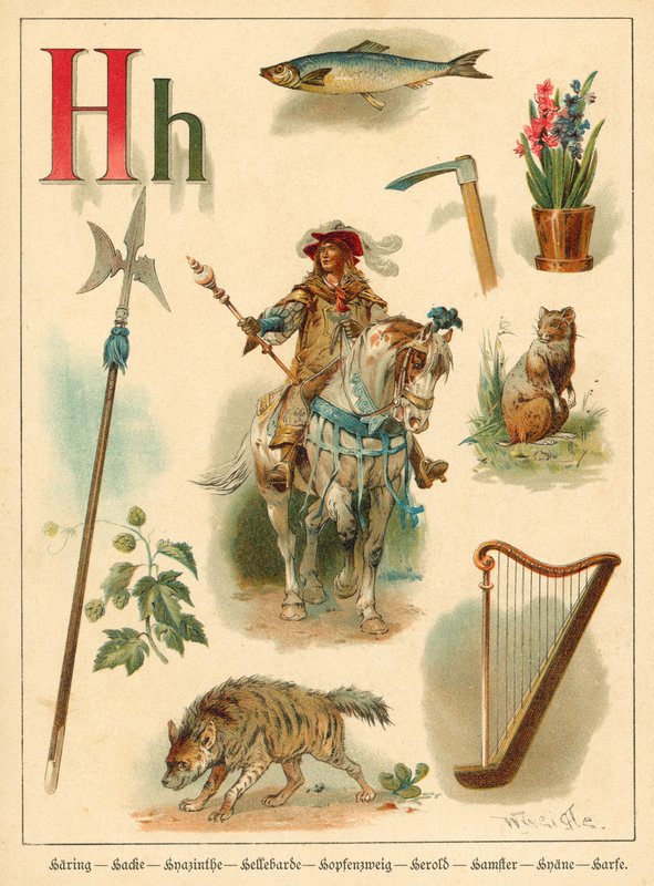 Letter H door Walter Zweigle