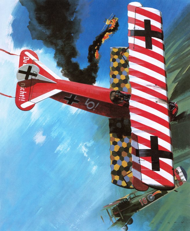 Fokker D VII door Wilf (20th century) Hardy