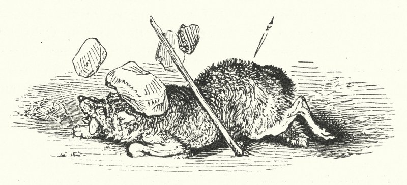 De dood van de wolf door William (after) Harvey